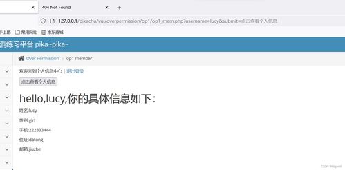 網絡安全第八天 不安全的文件上傳漏洞與相關安全風險